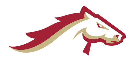 birmingham stallions